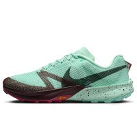 Nike Kiger 10 (FV3929-301)