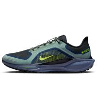 Nike Pegasus 41 GORE-TEX (FQ1356-006)
