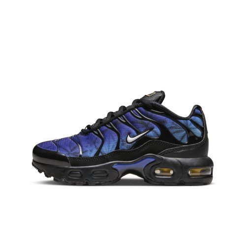 Nike Nike Air Max Plus Schwarz FV6917 001 sneakshero