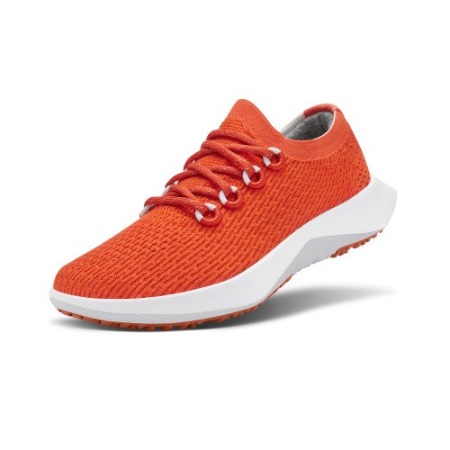 allbirds Men's Tree Dasher 2 (AA0012) [1]
