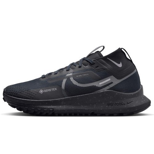 Nike Nike Pegasus Trail 4 GORE-TEX (FZ4343-400) [1]