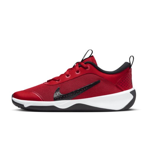 Nike Nike Omni Multi-Court (DM9027-601) [1]