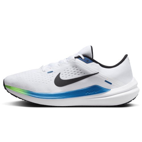 Nike Nike Winflo 10 (DV4022-103) [1]