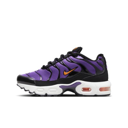 Nike Nike Air Max Plus (CD0610-024) [1]