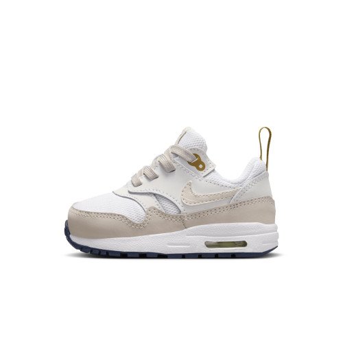 Nike Air Max 1 EasyOn (DZ3309-103) [1]