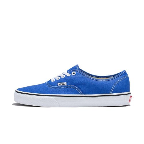Vans Color Theory Authentic (VN0A5KS96RE) [1]