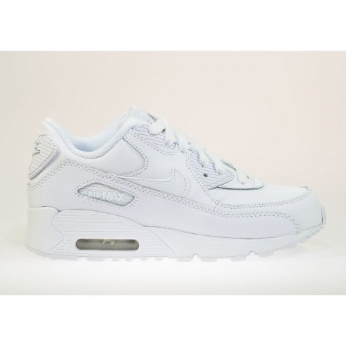 Nike Air Max 90 (307794-167) [1]