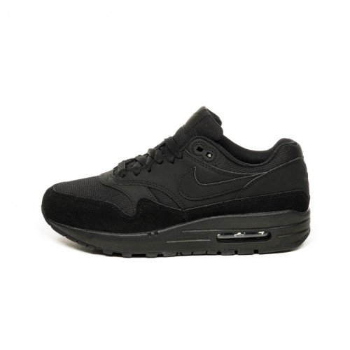 Nike Wmns Air Max 1 (319986-045) [1]