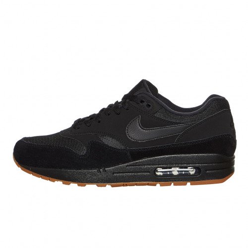 Nike Air Max 1 (AH8145-007) [1]