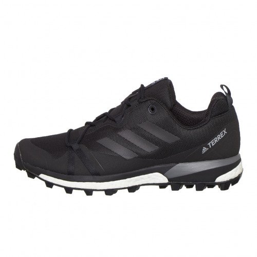 adidas Originals Terrex Skychaser LT (F36116) [1]