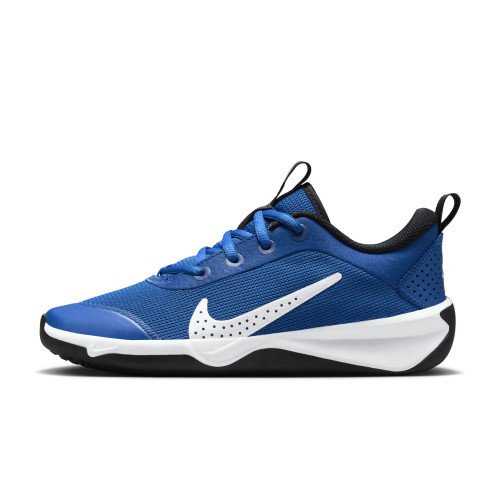 Nike Omni Multi-Court (DM9027-403) [1]