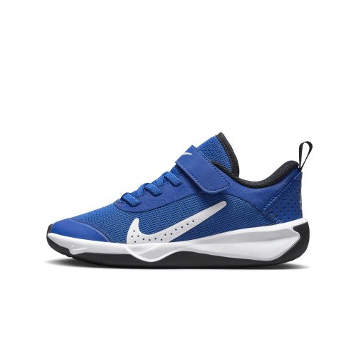 Nike Omni Multi-Court (DM9026-403) [1]