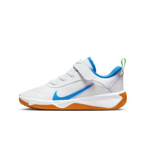 Nike Omni Multi-Court (DM9026-107) [1]