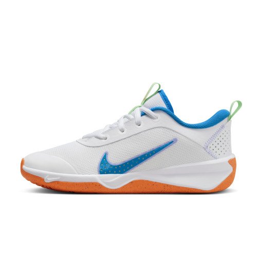 Nike Omni Multi-Court (DM9027-107) [1]