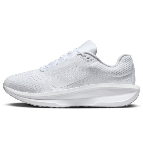 Nike Winflo 11 (FJ9510-100) [1]