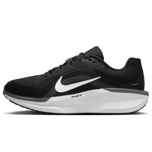 Nike Winflo 11 (FJ9509-001) [1]