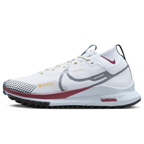 Nike Pegasus Trail 4 GORE-TEX (DJ7929-102) [1]