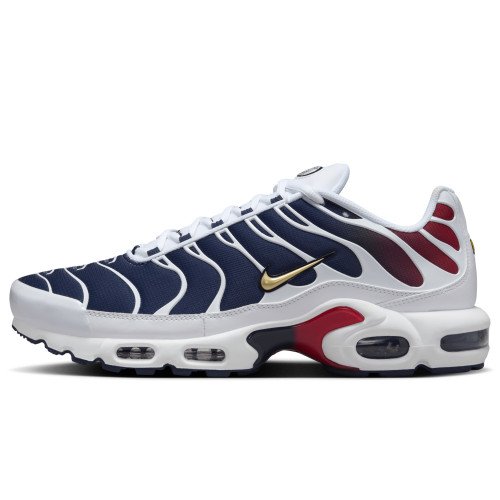 Nike Air Max Plus (FZ4776-100) [1]