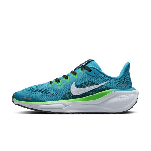 Nike Pegasus 41 (FN5041-300) [1]