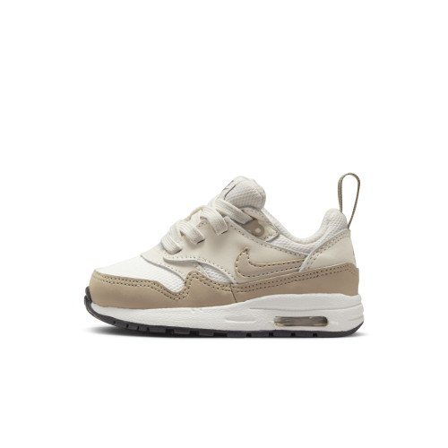 Nike Air Max 1 EasyOn (DZ3309-006) [1]