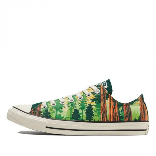 Converse The Great Outdoors Chuck Taylor All Star Low Top (170845C) [1]