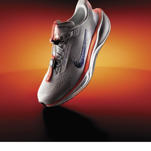 Nike Pegasus EasyOn Blueprint (HM0375-900) [1]