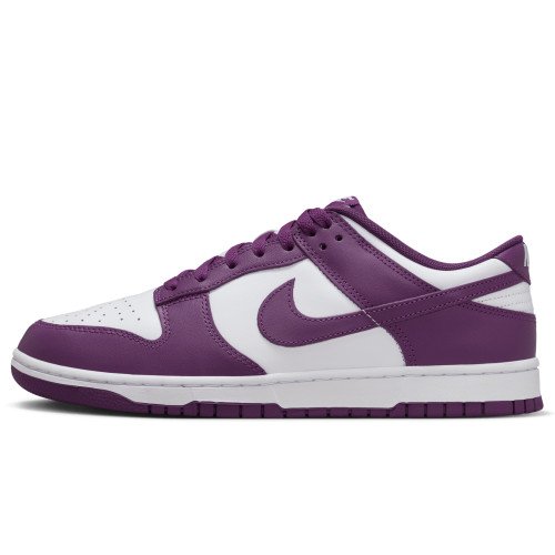 Nike Dunk Low Retro (DV0833-107) [1]