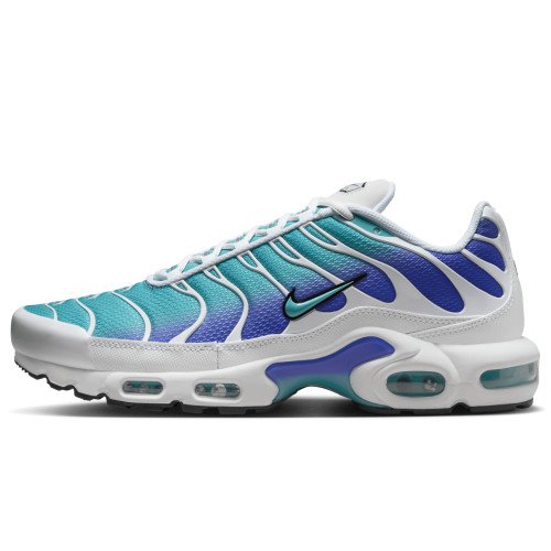 Nike Air Max Plus (DM0032-102) [1]