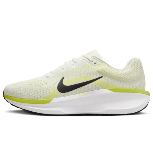 Nike Winflo 11 (FJ9509-101) [1]