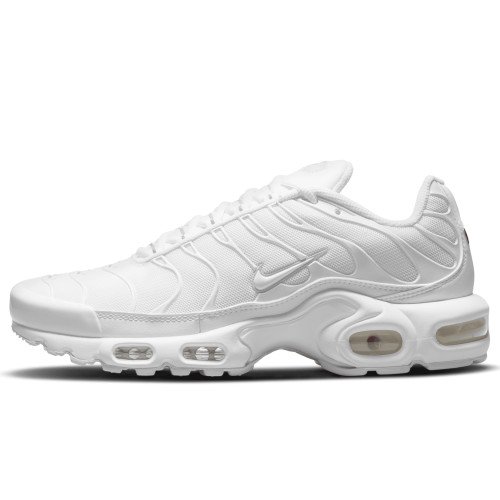 Nike Air Max Plus (DM2362-100) [1]