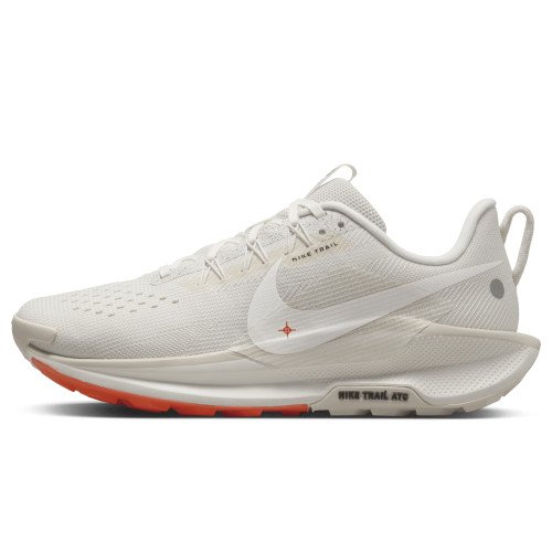 Nike Pegasus Trail 5 (DV3865-003) [1]