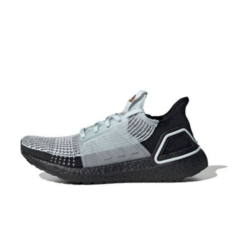 adidas Originals Ultraboost 19 w (G27491) [1]