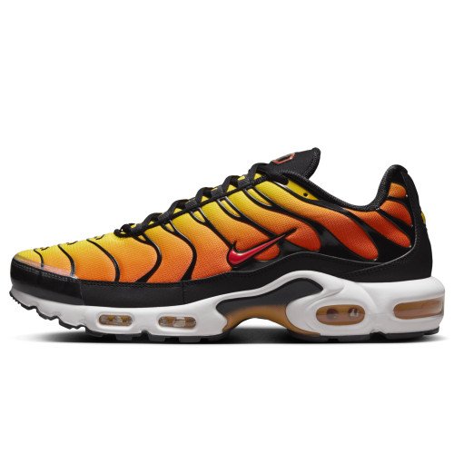 Nike Air Max Plus (HF0552-001) [1]