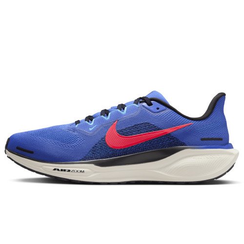 Nike Pegasus 41 (FD2722-401) [1]