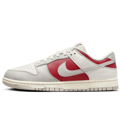 Nike Nike DUNK LOW RETRO (HJ9093-030) [1]