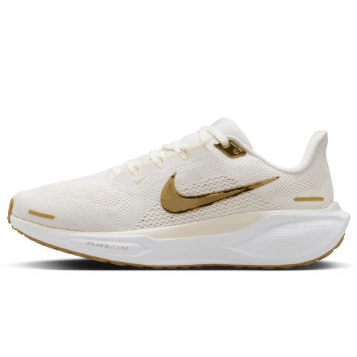 Nike Pegasus 41 (FD2723-005) [1]