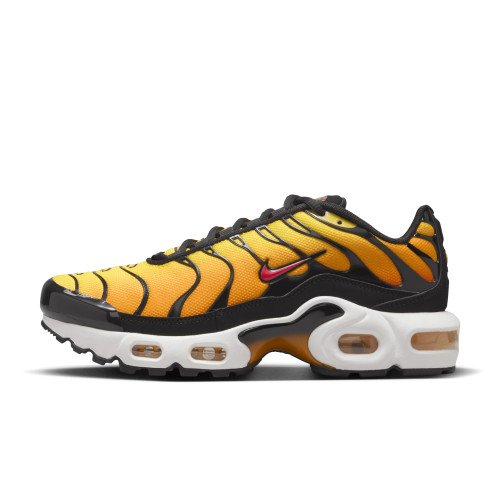 Nike Air Max Plus (CD0609-029) [1]