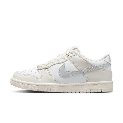 Nike Dunk Low (FB9109-109) [1]