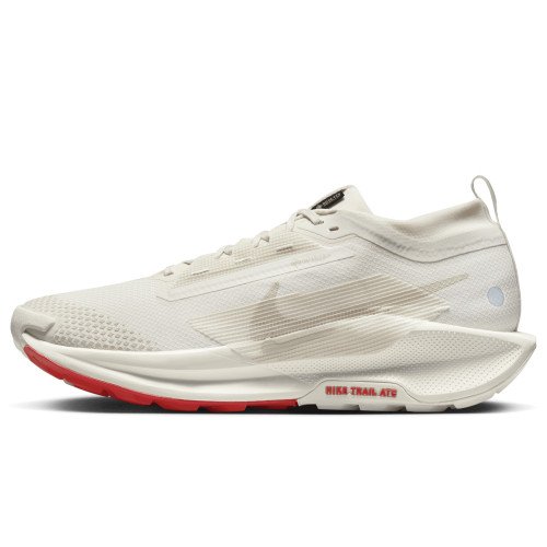 Nike Pegasus Trail 5 GORE-TEX (FQ0908-100) [1]