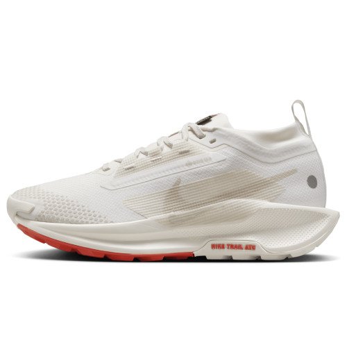 Nike Pegasus Trail 5 GORE-TEX (FQ0912-100) [1]