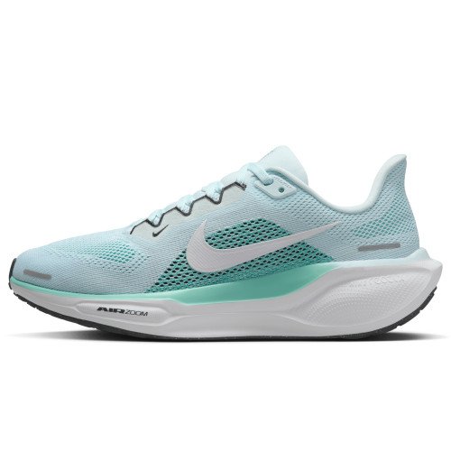 Nike Pegasus 41 (FD2723-401) [1]