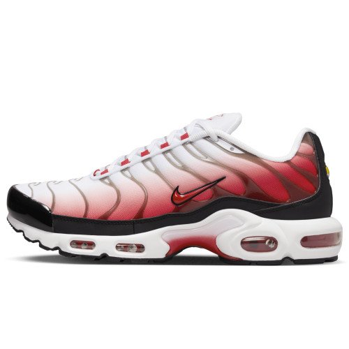 Nike Air Max Plus (HM9611-100) [1]