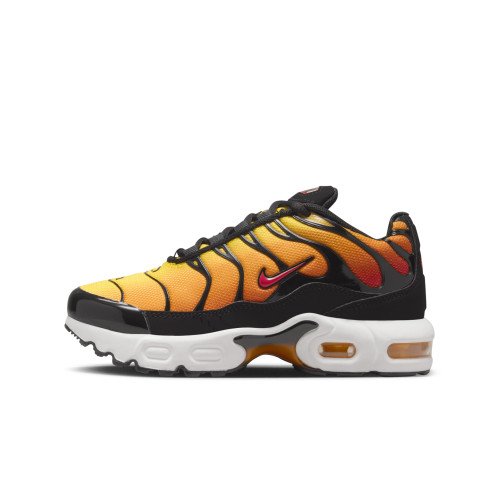 Nike Air Max Plus (CD0610-029) [1]