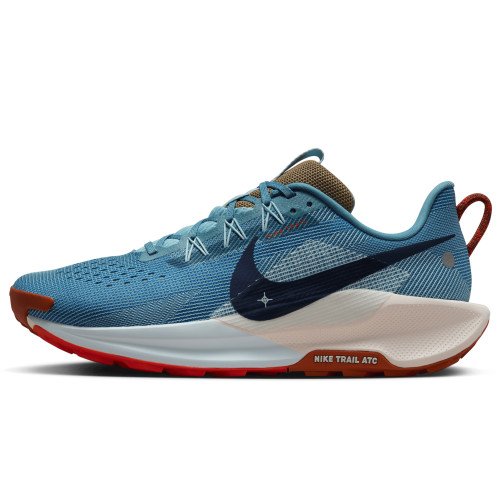 Nike Pegasus Trail 5 (DV3864-402) [1]