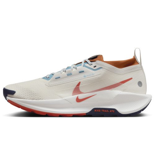 Nike Pegasus Trail 5 GORE-TEX (FQ0908-003) [1]