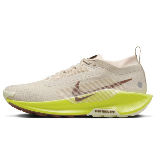 Nike Pegasus Trail 5 GORE-TEX (FQ0912-101) [1]