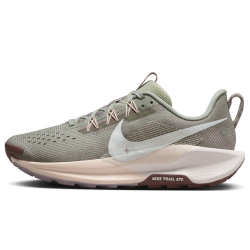 Nike Pegasus Trail 5 (DV3865-300) [1]