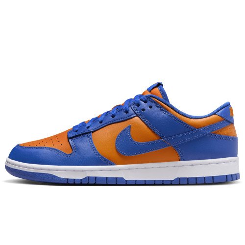 Nike Dunk Low Retro (DV0833-800) [1]