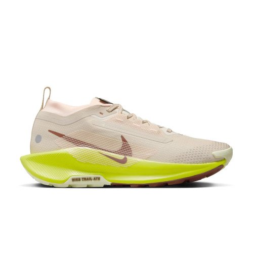 Nike Pegasus Trail 5 GTX (FQ0912) [1]