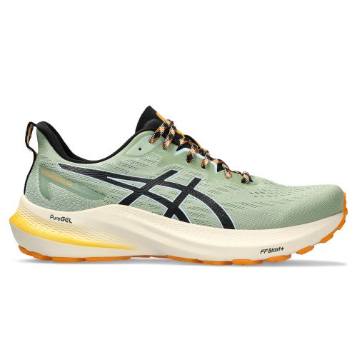 Asics GT-2000 12 TR (1011B775-250) [1]